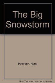 The Big Snowstorm