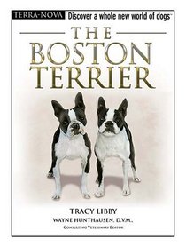 The Boston Terrier (Terra-Nova)