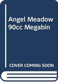 Angel Meadow 90cc Megabin