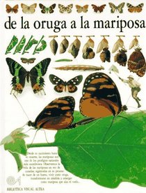 De LA Oruga a LA Mariposa (Eyewitness Series in Spanish) (Spanish Edition)