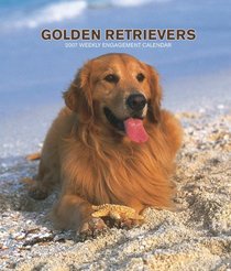 Golden Retrievers 2007 Weekly Calendar