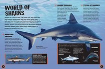Sharks -- Predators of the Sea
