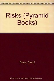 Risks Rees Pyramid