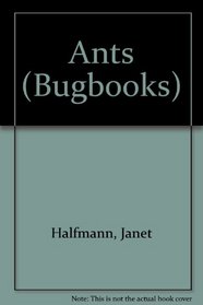 Ants (Bugs (Mankato, Minn.).)