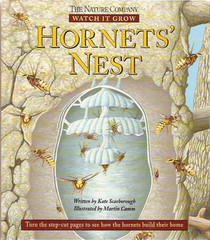 Hornets' Nest (Watch It Grow)