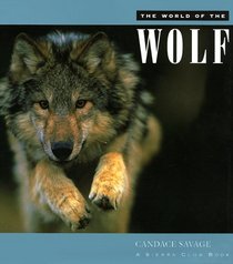 The World of the Wolf