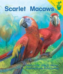 Early Reader: Scarlet Macaws