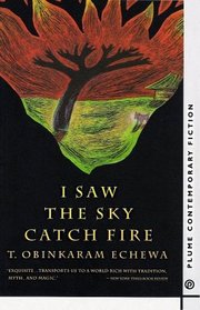 I Saw the Sky Catch Fire (Plume Contemporary Fiction)