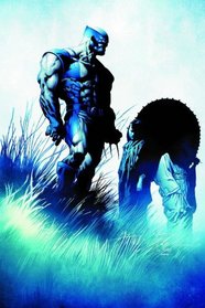Wolverine: Origins & Endings