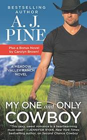 My One and Only Cowboy (Meadow Valley, Bk 1)
