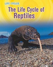 The Life Cycle of Reptiles (Heinemann Infosearch Level R: Life Cycles)