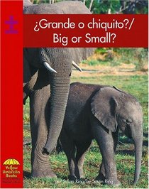 Grande o chiquito? / Big or Small? (Math) (Spanish Edition)