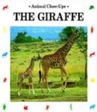 The Giraffe (Animal Close-Ups (Paperback))