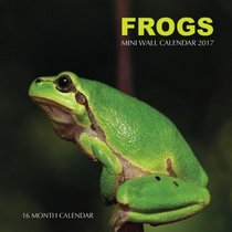 Frogs Mini Wall Calendar 2017: 16 Month Calendar