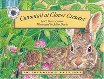 Cottontail at Clover Crescent (Smithsonian's Backyard)