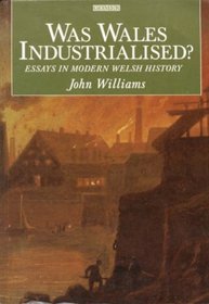 Was Wales Industrialised?: Essays in Modern Welsh History