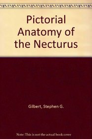 Pictorial Anatomy of the Necturus.