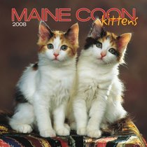 Maine Coon Cat Kittens 2008 Mini Wall Calendar (German, French, Spanish and English Edition)