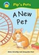The Perfect Pet (Start Reading Pip's Pets)