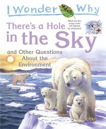 I Wonder Why There's a Hole in the Sky: and Other Questions About the Environment (I Wonder Why)