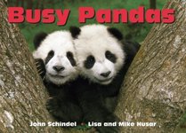 Busy Pandas (A Busy Book)