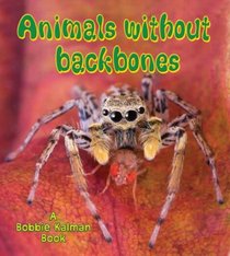 Animals Without Backbones (Big Science Ideas)