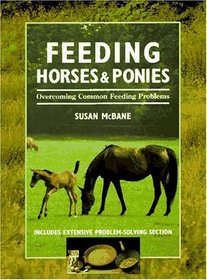 Feeding Horses  Ponies