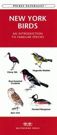 New York Birds: An Introduction to Familiar Species (Pocket Naturalist)