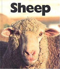 Sheep (Naturebooks)
