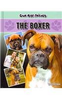 The Boxer (Our Best Friends)