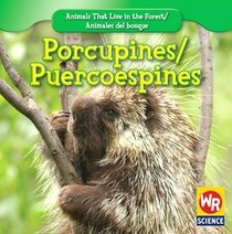 Porcupines/ Puercoespines (Animals That Live in the Forest/Animales Del Bosque)