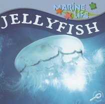 Jellyfish (Marine Life)