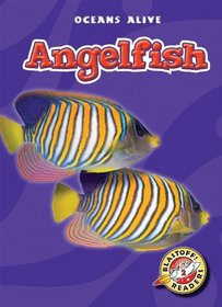 Angelfish (Paperback) (Blastoff! Readers: Oceans Alive)