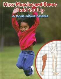 How Muscles and Bones Hold You Up: A Book About Models (Big Ideas for Young Scientists)