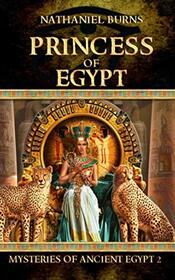 Princess of Egypt: The Second Case for Neti-Kerty (Mysteries of Ancient Egypt)