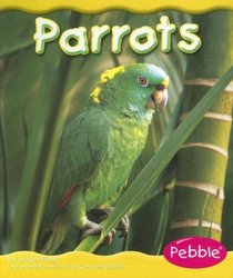 Parrots (Rain Forest Animals)