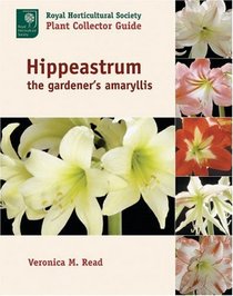 Hippeastrum: The Gardener's Amaryllis (Royal Horticultural Society/Timber Press Plant Collectors Guides Series)