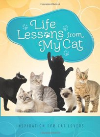 Life Lessons from My Cat: Inspiration for Cat Lovers