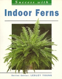 Indoor Ferns (Success With)