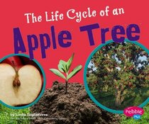 The Life Cycle of an Apple Tree (Pebble Plus)