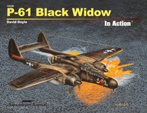 P-61 Black Widow In Action (10226)