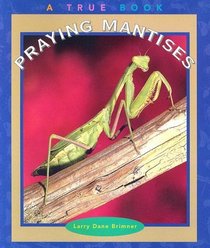 Praying Mantises (True Books-Animals)
