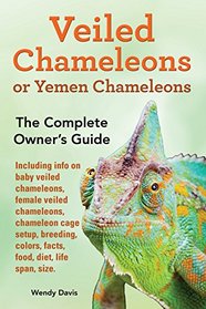 Veiled Chameleons or Yemen Chameleons as pets. info on baby veiled chameleons, female veiled chameleons, chameleon cage setup, breeding, colors, facts, food, diet, life span, size.