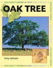 Oak Tree (How Does it Grow?)