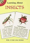 Learning About Insects (Learning about Books (Dover))