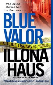 Blue Valor (Kay Delaney, Bk 2)