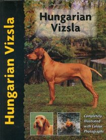 Hungarian Vizsla (Pet love)