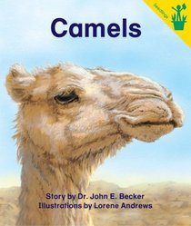 Early Reader: Camels