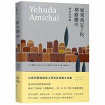 The Poetry of Yehuda Amichai (Chinese Edition)