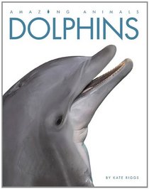 Dolphins (Amazing Animals (Creative Education Hardcover))
